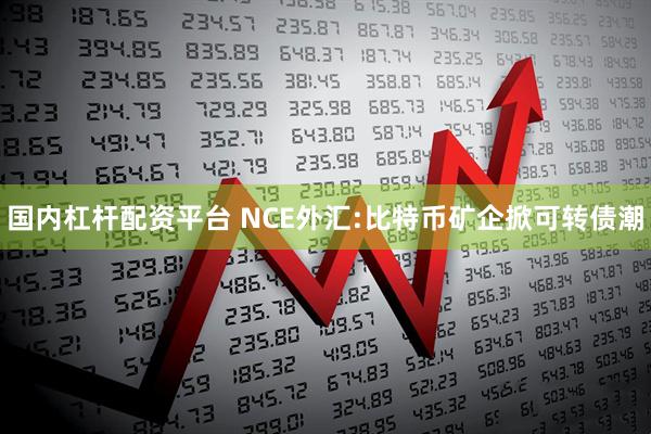 国内杠杆配资平台 NCE外汇:比特币矿企掀可转债潮