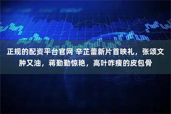 正规的配资平台官网 辛芷蕾新片首映礼，张颂文肿又油，蒋勤勤惊艳，高叶咋瘦的皮包骨